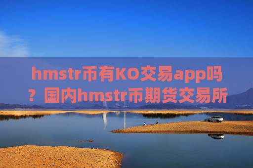 hmstr币有KO交易app吗？国内hmstr币期货交易所app下载