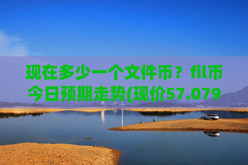 现在多少一个文件币？fil币今日预期走势(现价57.079元)