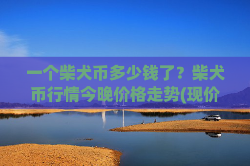 一个柴犬币多少钱了？柴犬币行情今晚价格走势(现价0.00022652元)