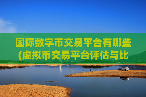 国际数字币交易平台有哪些(虚拟币交易平台评估与比较)