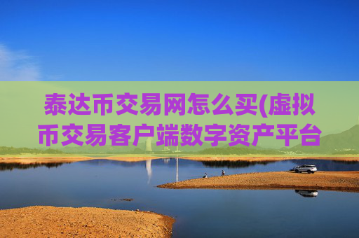 泰达币交易网怎么买(虚拟币交易客户端数字资产平台)