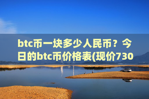 btc币一块多少人民币？今日的btc币价格表(现价730338.63元)