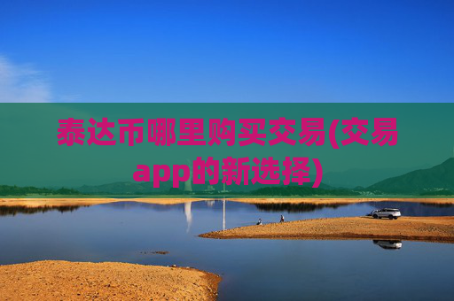 泰达币哪里购买交易(交易app的新选择)