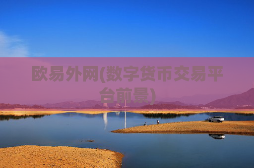 欧易外网(数字货币交易平台前景)