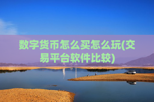 数字货币怎么买怎么玩(交易平台软件比较)
