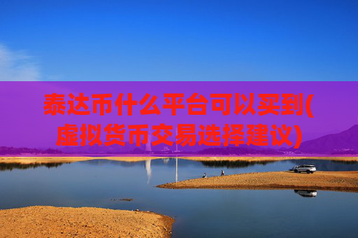 泰达币什么平台可以买到(虚拟货币交易选择建议)