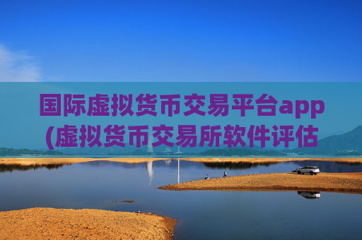 国际虚拟货币交易平台app(虚拟货币交易所软件评估)