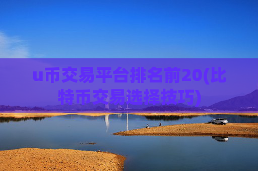 u币交易平台排名前20(比特币交易选择技巧)