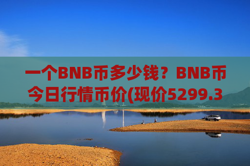 一个BNB币多少钱？BNB币今日行情币价(现价5299.34元)