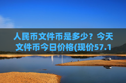 人民币文件币是多少？今天文件币今日价格(现价57.1226元)