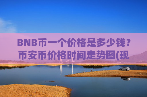 BNB币一个价格是多少钱？币安币价格时间走势图(现价4840.64元)