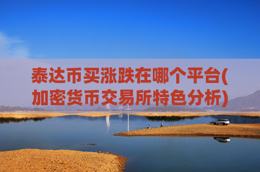 泰达币买涨跌在哪个平台(加密货币交易所特色分析)