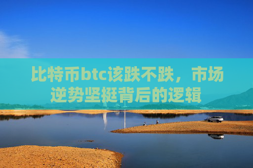 比特币btc该跌不跌，市场逆势坚挺背后的逻辑