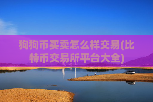 狗狗币买卖怎么样交易(比特币交易所平台大全)