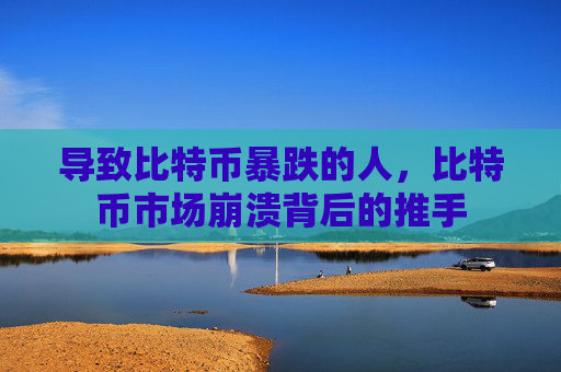 导致比特币暴跌的人,比特币市场崩溃背后的推手