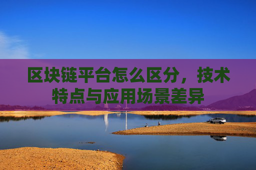 区块链平台怎么区分，技术特点与应用场景差异