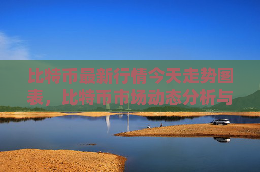 比特币最新行情今天走势图表，比特币市场动态分析与预测