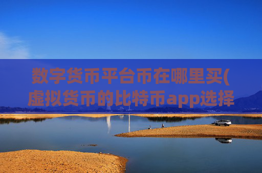数字货币平台币在哪里买(虚拟货币的比特币app选择)