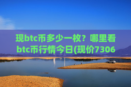 现btc币多少一枚？哪里看btc币行情今日(现价730693.28元)