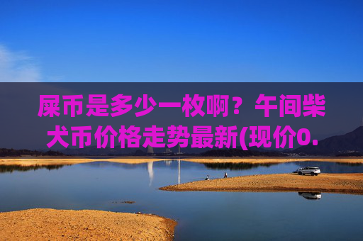 屎币是多少一枚啊？午间柴犬币价格走势最新(现价0.00022507元)