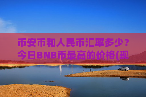 币安币和人民币汇率多少？今日BNB币最高的价格(现价5297.17元)