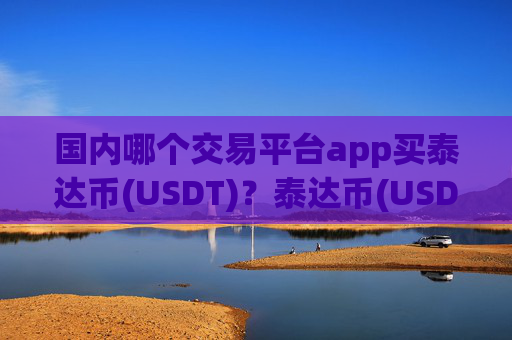国内哪个交易平台app买泰达币(USDT)？泰达币(USDT)平台交易所排名