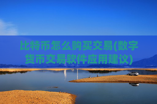 比特币怎么购买交易(数字货币交易软件应用建议)