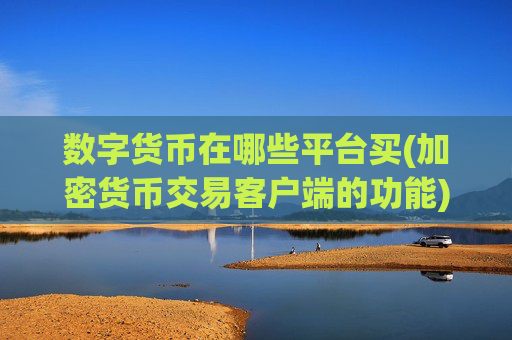 数字货币在哪些平台买(加密货币交易客户端的功能)