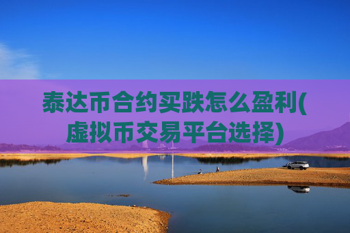 泰达币合约买跌怎么盈利(虚拟币交易平台选择)