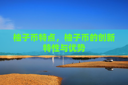柚子币特点，柚子币的创新特性与优势