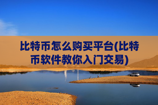 比特币怎么购买平台(比特币软件教你入门交易)