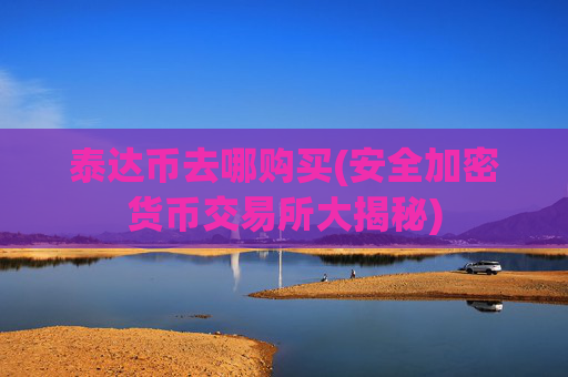 泰达币去哪购买(安全加密货币交易所大揭秘)