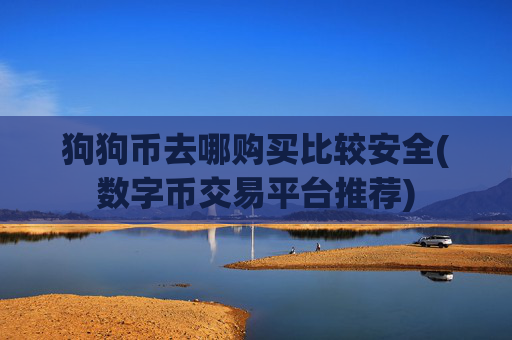 狗狗币去哪购买比较安全(数字币交易平台推荐)