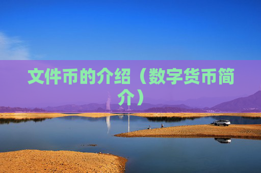 文件币的介绍（数字货币简介）