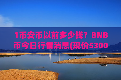 1币安币以前多少钱？BNB币今日行情消息(现价5300.14元)