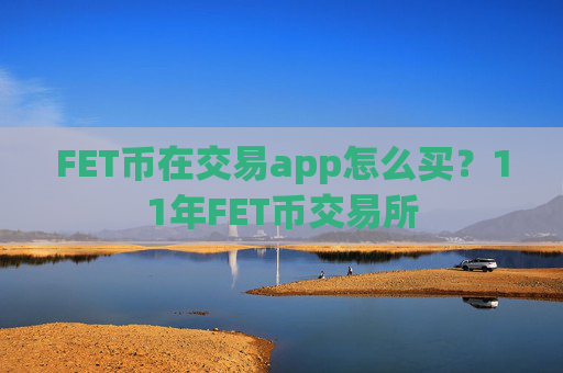 FET币在交易app怎么买？11年FET币交易所