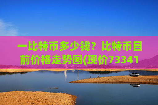 一比特币多少钱？比特币目前价格走势图(现价733419.09元)