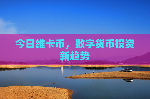 今日维卡币，数字货币投资新趋势