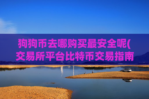 狗狗币去哪购买最安全呢(交易所平台比特币交易指南)