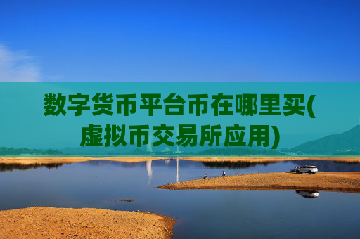 数字货币平台币在哪里买(虚拟币交易所应用)