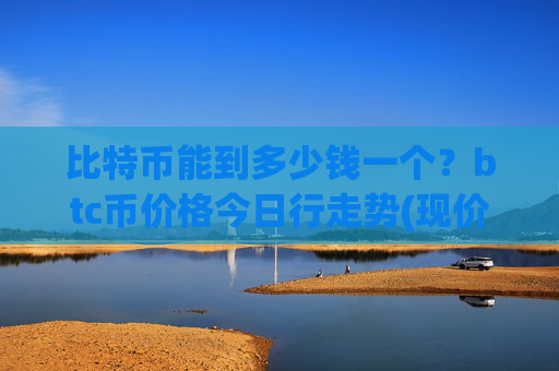比特币能到多少钱一个？btc币价格今日行走势(现价729389.7元)