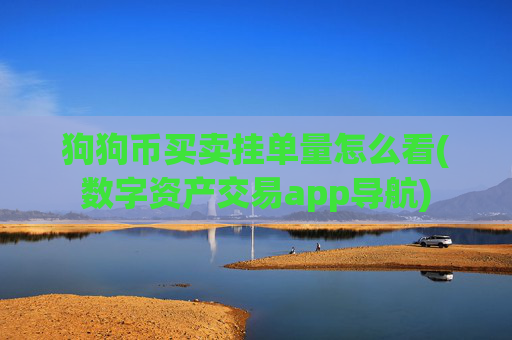 狗狗币买卖挂单量怎么看(数字资产交易app导航)