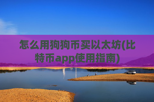 怎么用狗狗币买以太坊(比特币app使用指南)