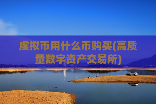虚拟币用什么币购买(高质量数字资产交易所)