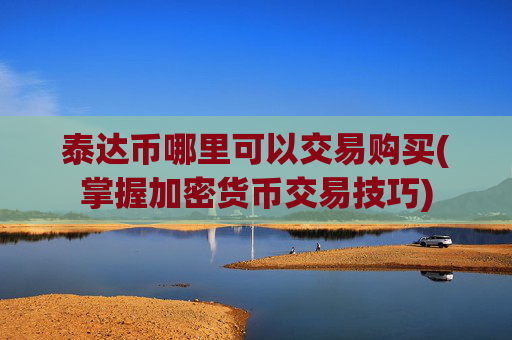 泰达币哪里可以交易购买(掌握加密货币交易技巧)
