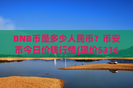 BNB币是多少人民币？币安币今日价钱行情(现价5316.18元)