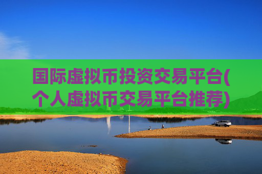 国际虚拟币投资交易平台(个人虚拟币交易平台推荐)