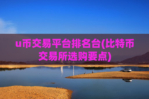 u币交易平台排名台(比特币交易所选购要点)