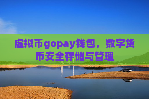 虚拟币gopay钱包，数字货币安全存储与管理