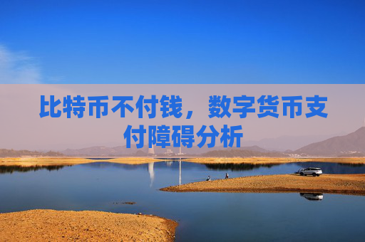 比特币不付钱，数字货币支付障碍分析
